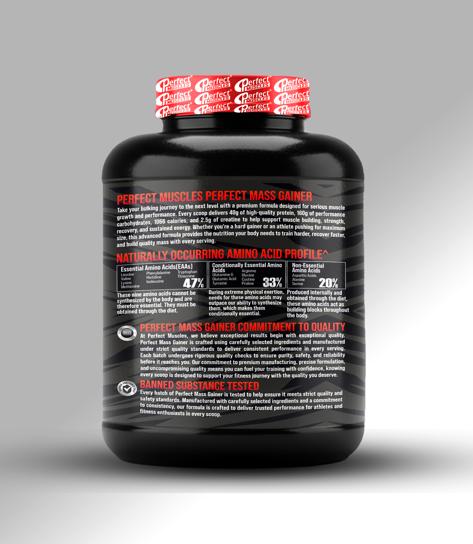 Mass Gainer (6LBS) - Image 3